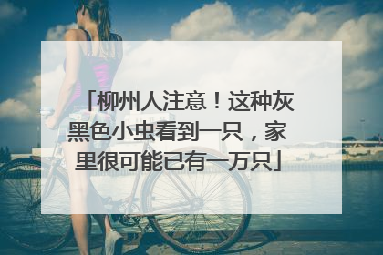 柳州人注意！这种灰黑色小虫看到一只，家里很可能已有一万只